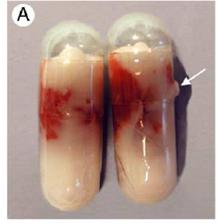 Probleme_Cryomatrix